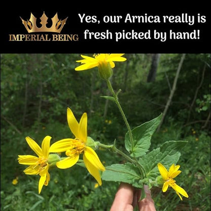 Royal Arnica Oil - Rapid Recovery Formula